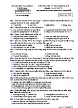 Đề kiểm tra học kì I môn Địa lý Lớp 12 - Mã đề 706 - Năm học 2018-2019 - Sở giáo dục và đào tạo Quảng Nam